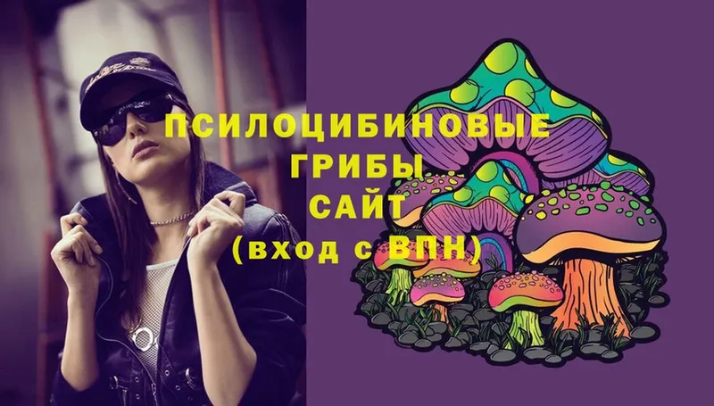 Псилоцибиновые грибы Magic Shrooms  Высоцк 